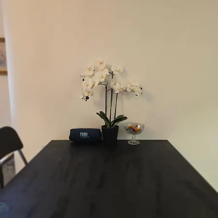 Apartment Cozy In Center *